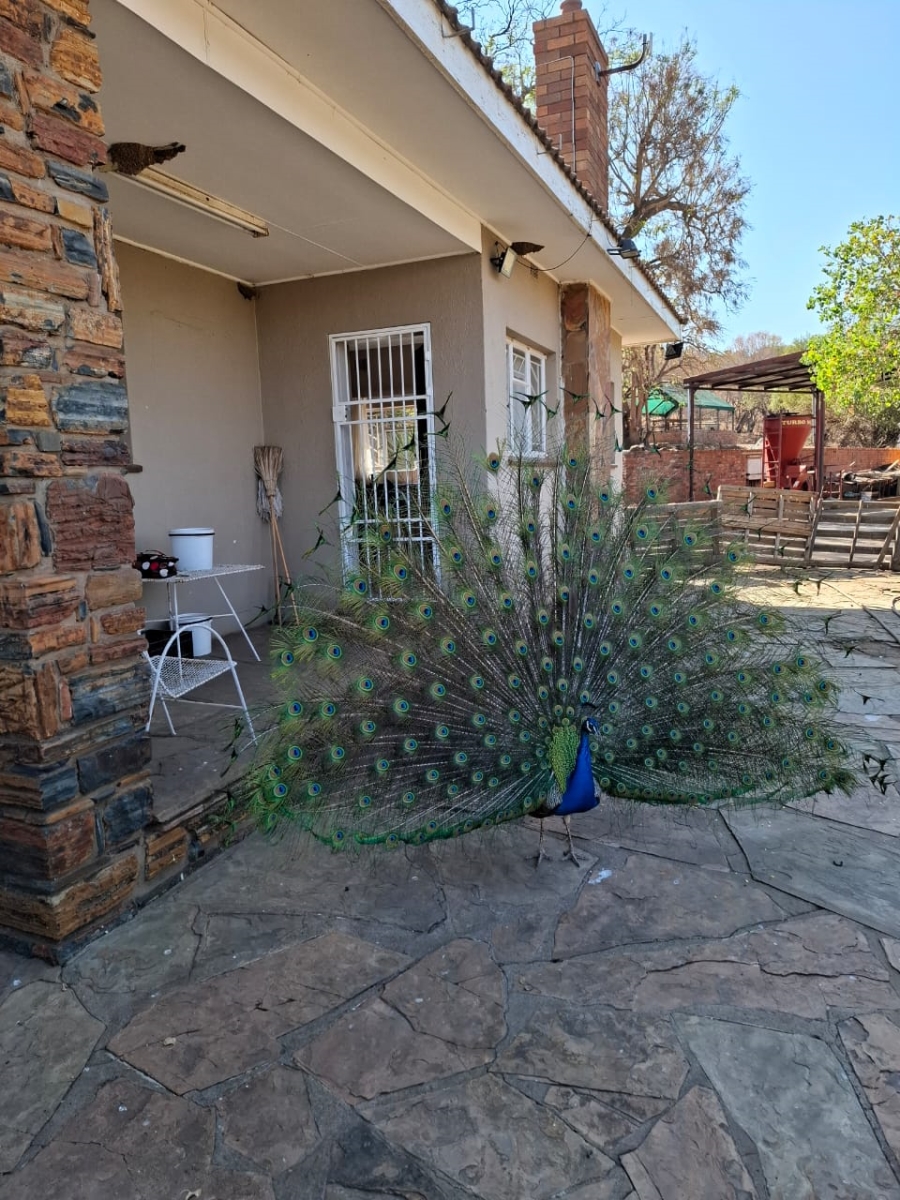 4 Bedroom Property for Sale in Koster North West